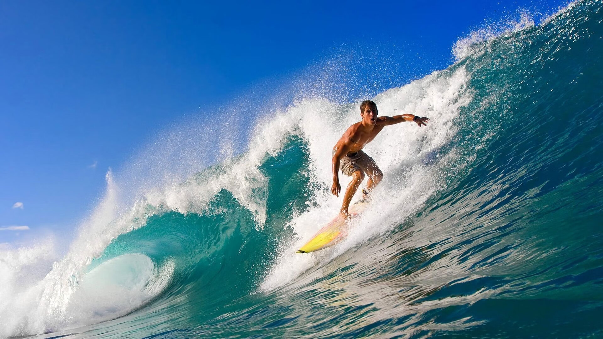 田径项目专项训练成果显著，田径专项活动