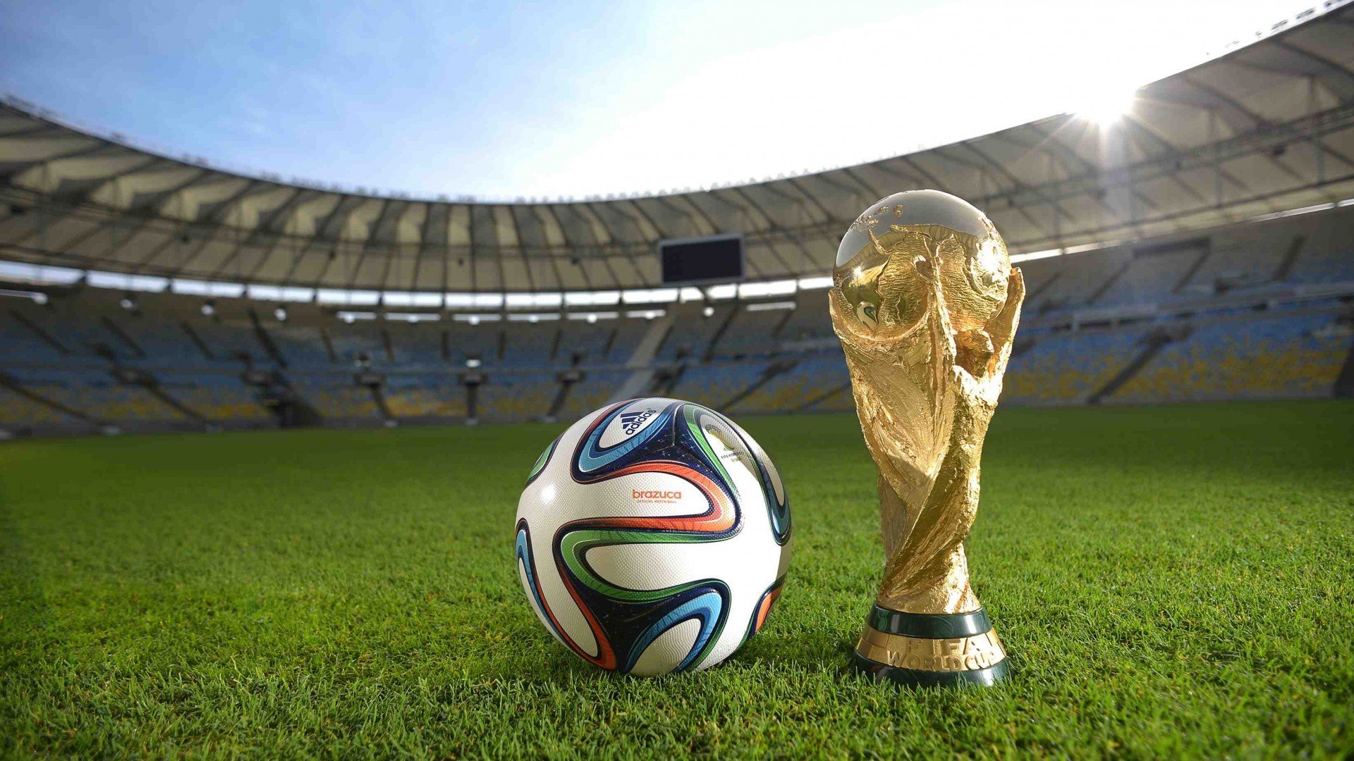 国际游泳裁判透明化改革试点城市动态，2021国家级游泳裁判